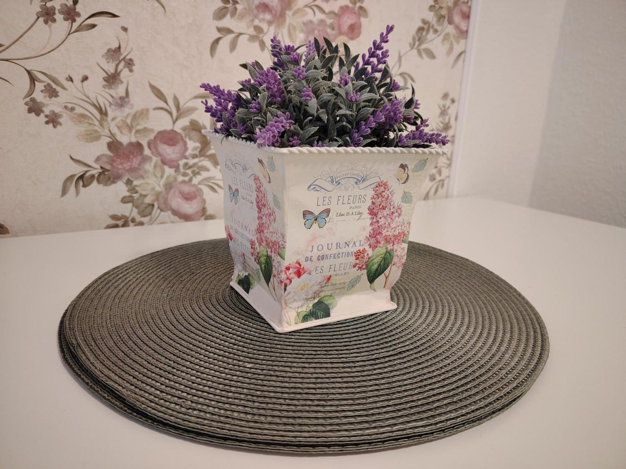 Koblenzliebe Rhein Ferienwohnung 3-Zimmer Garten Parking コブレンツ エクステリア 写真
