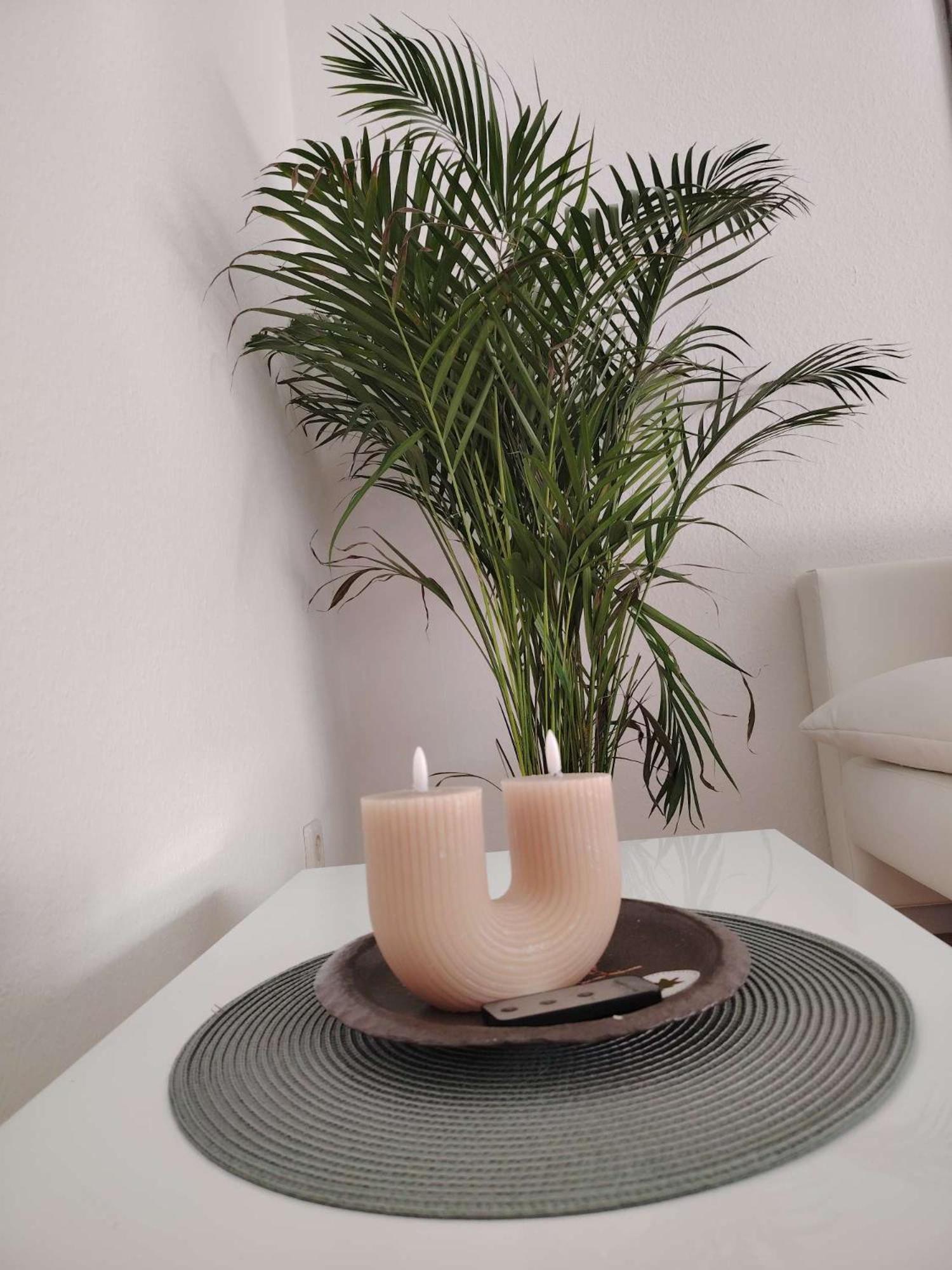 Koblenzliebe Rhein Ferienwohnung 3-Zimmer Garten Parking コブレンツ エクステリア 写真
