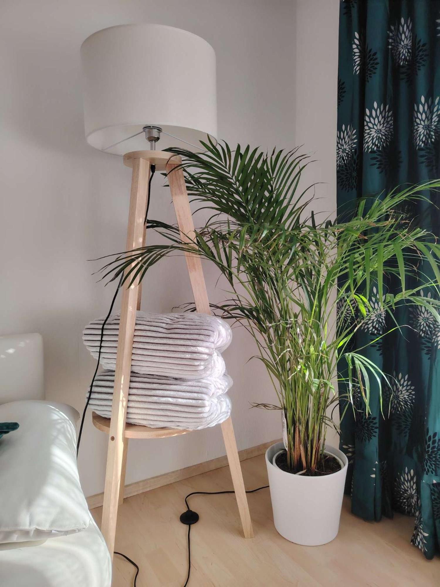 Koblenzliebe Rhein Ferienwohnung 3-Zimmer Garten Parking コブレンツ エクステリア 写真